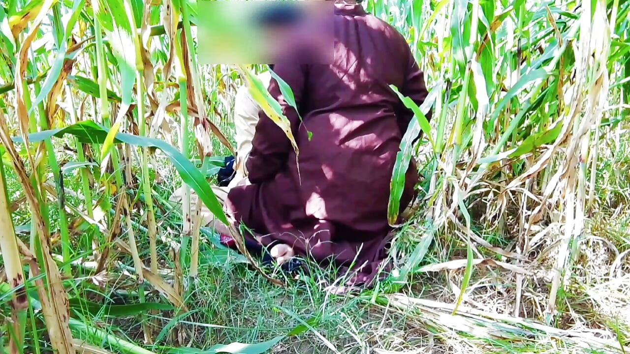 खेतों में घूमने के लिए आए तो मूड बन गया, पीछे से डाला तो मजा आ गया