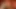 Üç azgın orta yaşlı seksi kadın tutku ve zevkle dolu ateşli dörtlü grup sekste şanslı bir yarağı paylaşıyor
