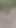 Emotional moment from "Milf under skirt no panties picking mushrooms in forest. Ass Milf. Outdoor. Outside. Doggystyle."