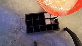 Faire plus de 700 g de cubes de sperme! - sperme glacé