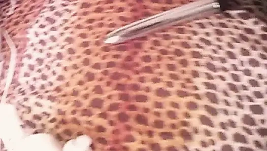 Eine lesbe mit nassen muschis