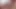 Lizzyyum VR January 2025 Fantasy Clit Boobs Pussy Dilating Bathing just edging #80c