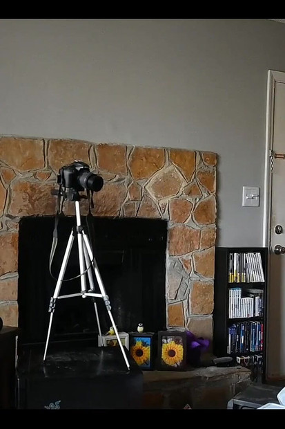 Pregled videozapisa