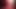 Precum macro