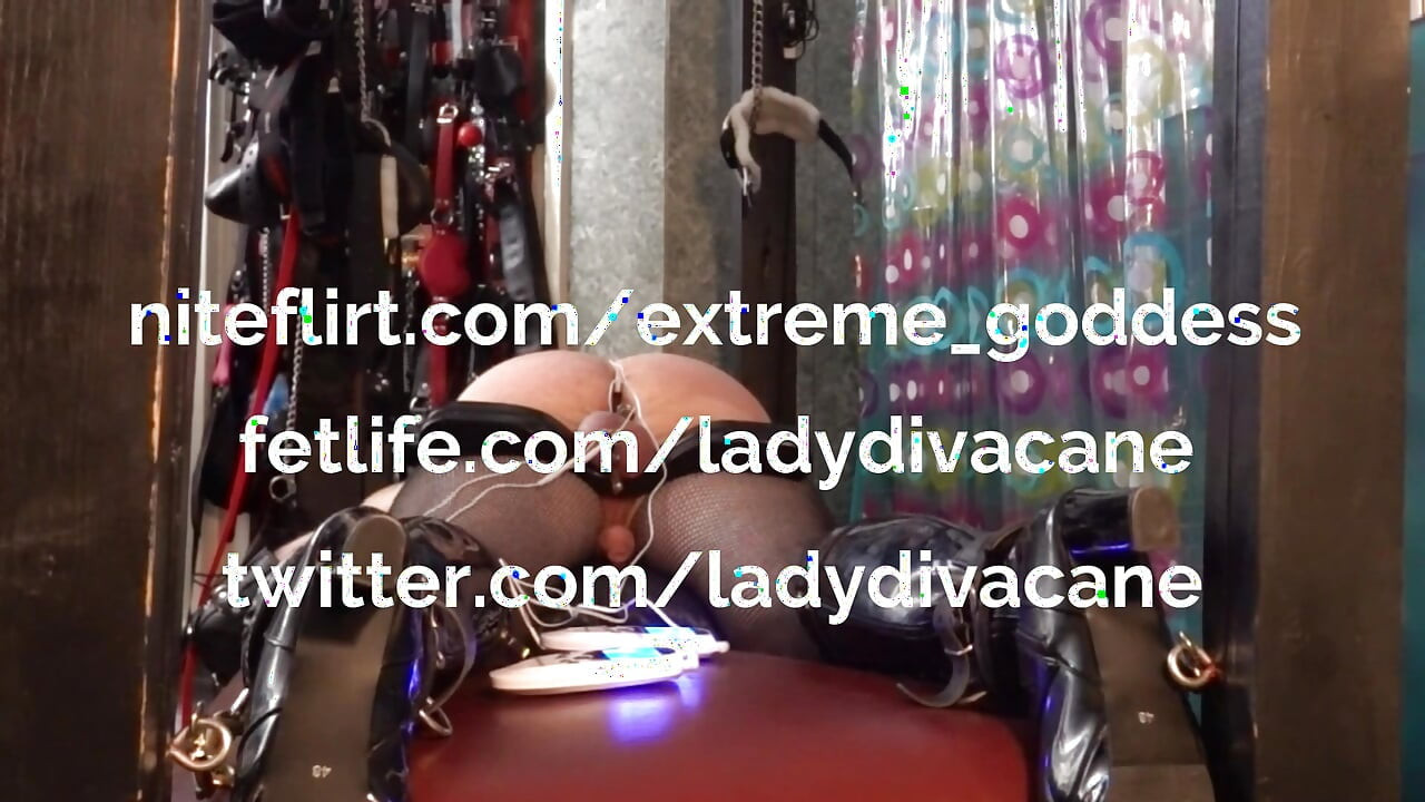 Αρσενικός σκλάβος σκλάβος στο ηλεκτρικό ταπεινωτικό με πρωκτικό βύσμα σοκ κωπηλατικό στο τραπέζι των δεσμών