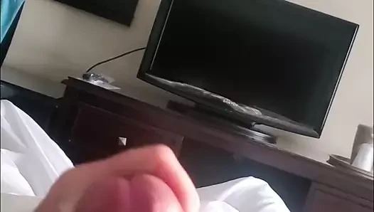 kedi ihtiyacı var