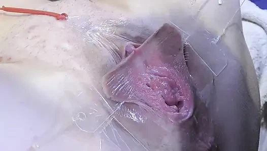 3 Leckende Muschi Weit Entfernt Von Sehr Nah