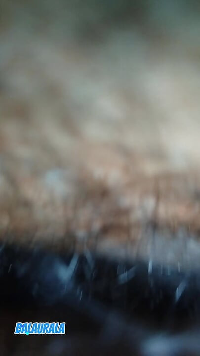 FUCKING sweet girl with morning fuck