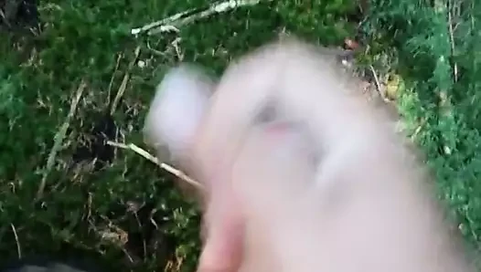 Abspritzen im Wald