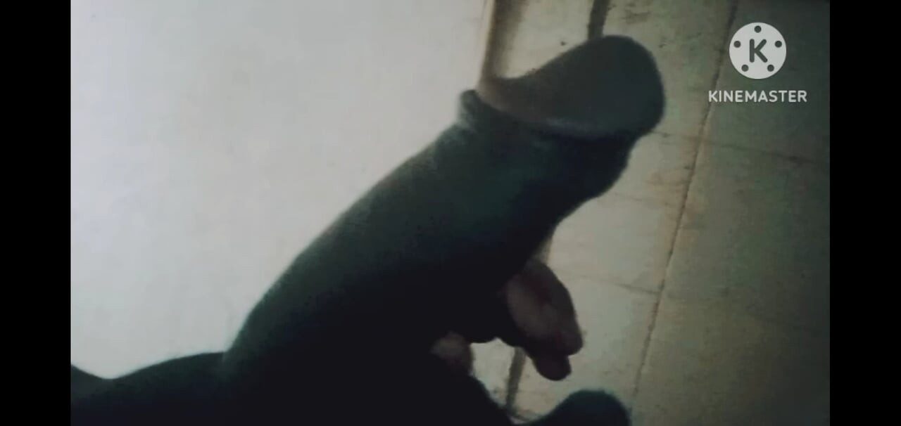 I went to the bathroom and masturbated.