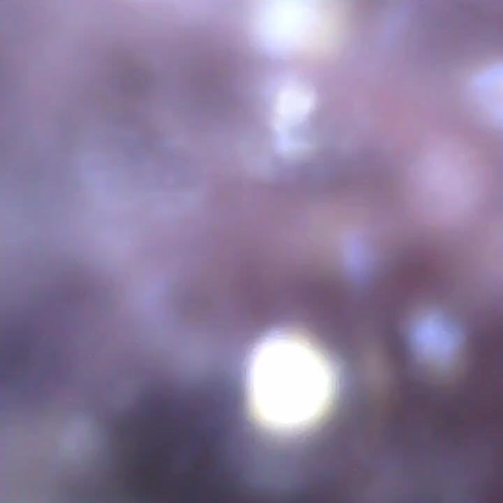 Playing and Swallowing a Toy Sent by a User with a Camera Inside