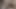 Indian desi cock Vedio