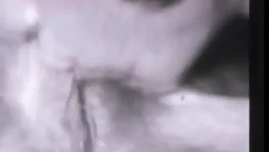 Vintage licking hairy pussy fucking