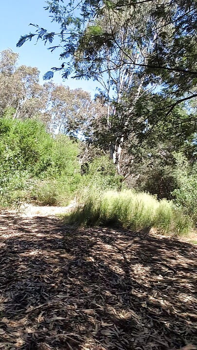 Nude biking break in Picnic spot near trail