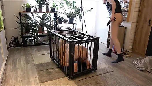 Да, мастер, я твой