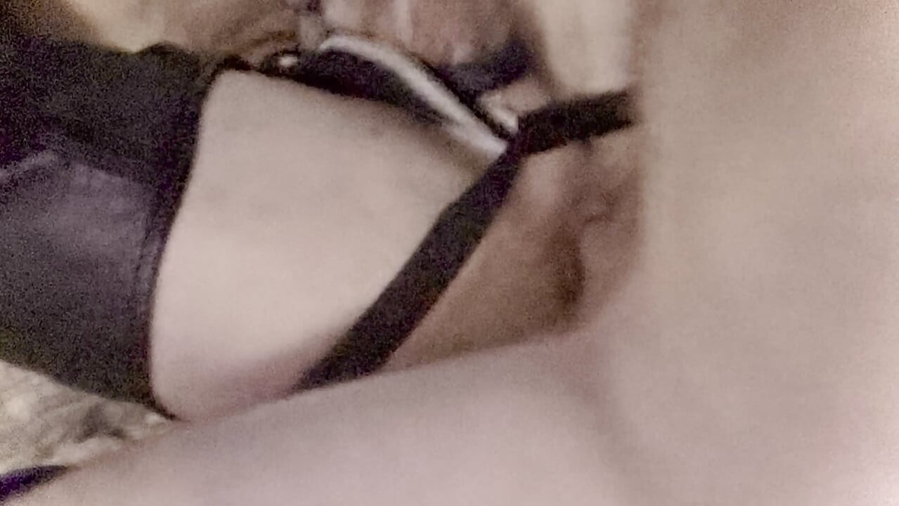 Gear playing pig sex