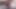 Insatiable Elisteilor