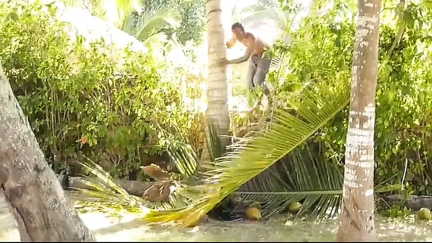 Coconut