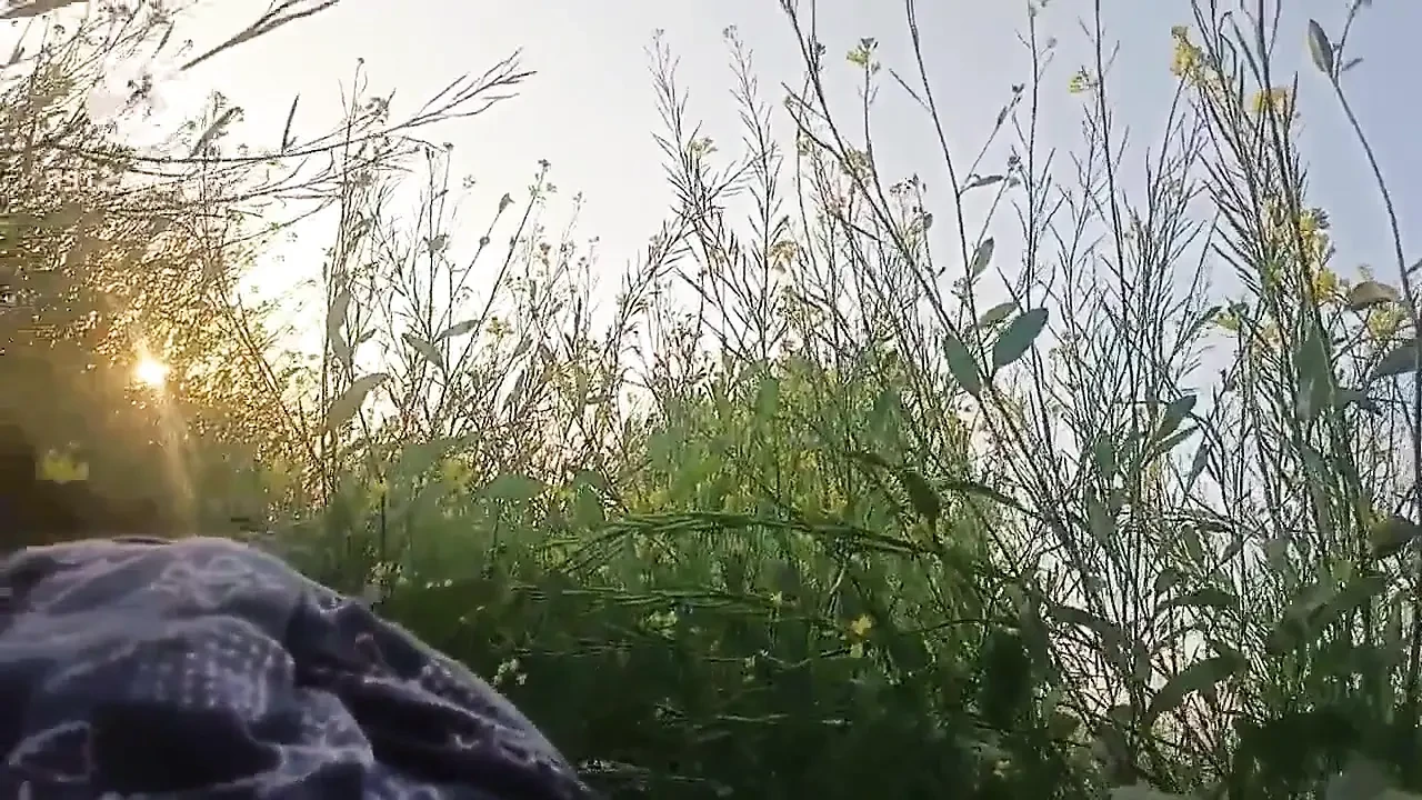 Desi Village Bhabhi Fucked by Devar in Outdoor