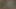 Honeydew Mei Blowjob (Animation With Sound)