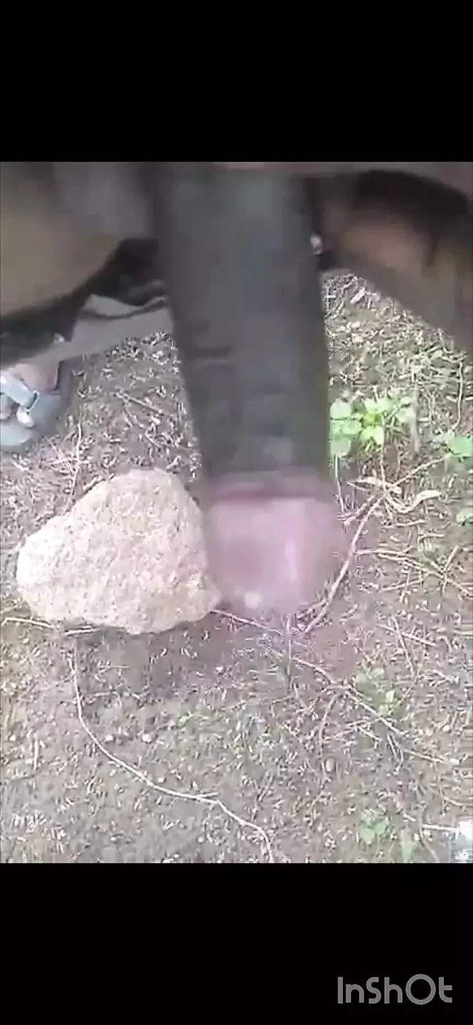 자지를 벌리고 벌리기