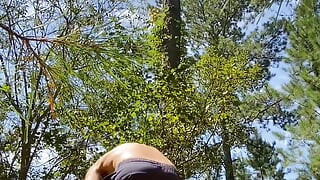 Little adventure in the woods.