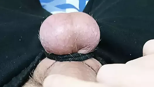 My domina told me - bandage the balls more often because your eggs are small, and I want to sit on them