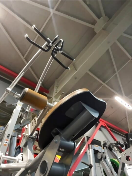 Jucielussie workout in the gym