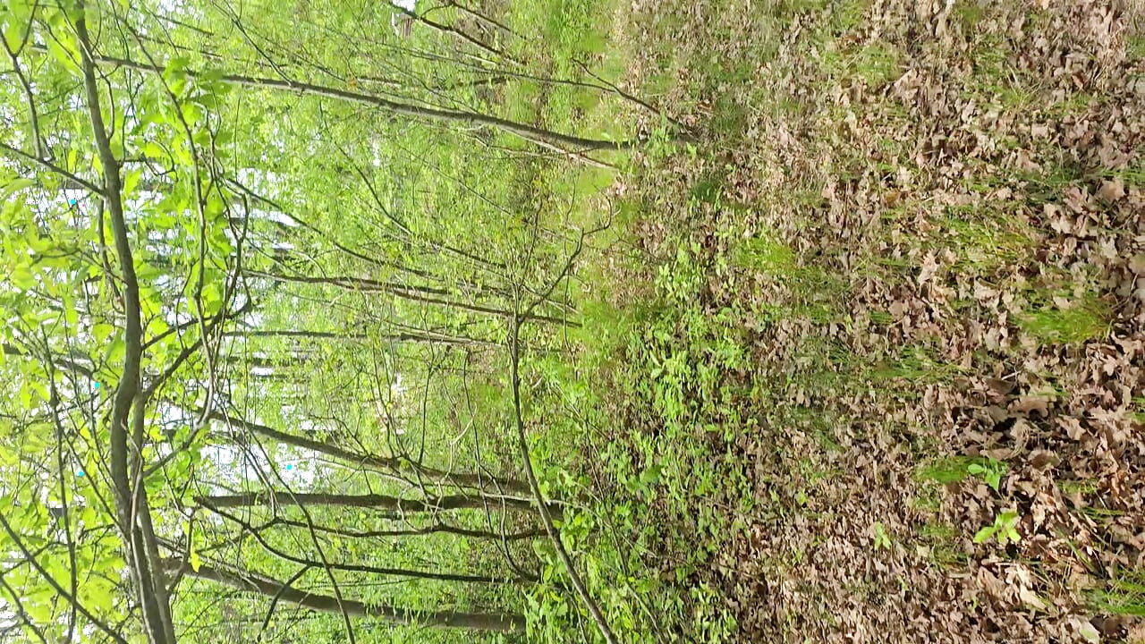 Lunch break in the nature