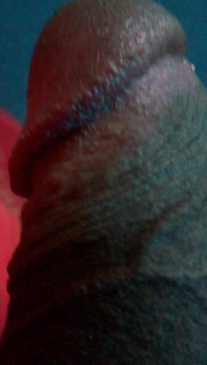 Best Cock for ladies
