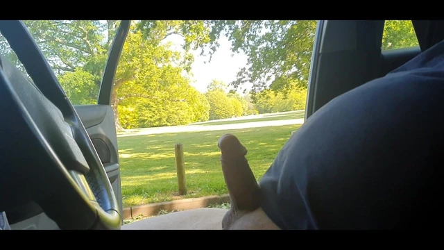 Public erection in the park