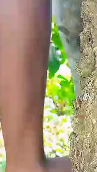 Nastolatka Solo kobieca masturbacja z mokrą ciasną cipką w krzaku, brakowało hardcore jebanie i cieszyła się seksem ... | Klip 1