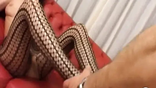 Penurut dan pantat kacau dengan benar