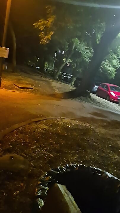 Duro e suculento pau búlgaro jorra porra no jardim da cidade.