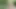 Deutsche MILF-Stiefmutter verführt zum Ficken im Freien von kleinem Jungen