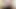 bbw plays with his cock. I play with my cock before jerking off and cumming.