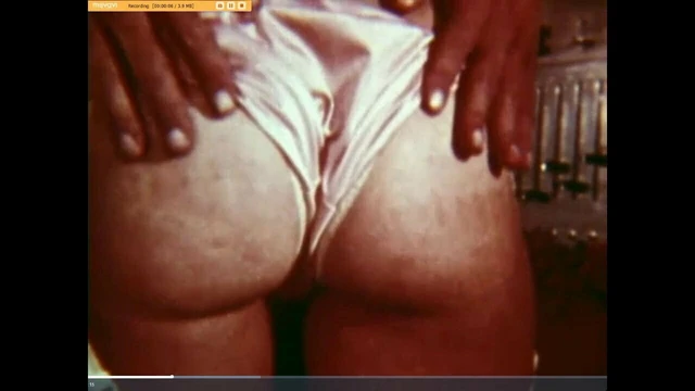 Swedish Erotica 0074 - The Repairman