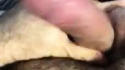 Il mio cazzo