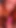 POV Redhead Woman Suck Cock and Have a Female Orgasm in Spoon Position - Brian Evansx