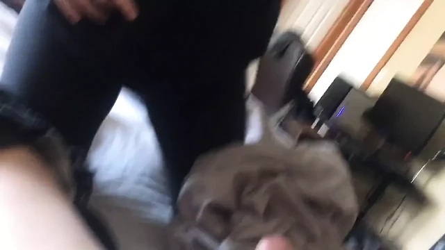 Sucking dick