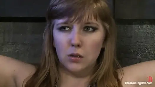 Testing Nerine Mechanique, Day 2