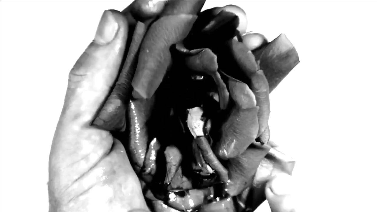 Fetiche por mãos - minhas mãos destruindo flores e frutas