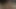 الملاك الآسيوي 25566