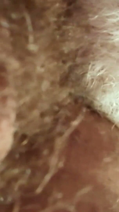 Daddy feasting on a beautiful hairy hole | Clip 1