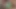 Sarışın bebek payton leigh squirts ve creampied