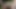 Mom and Stepdaughter Shared Orgasm in the Backyard in German
