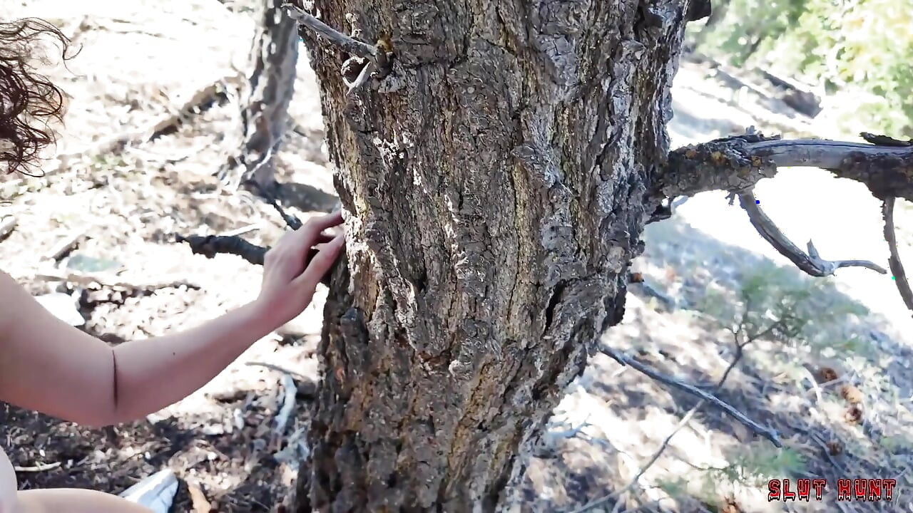 Troia caccia ep.5: pixie viene punito