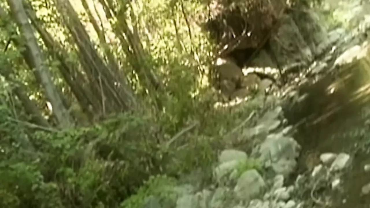 Step Dad's Friend in Bold Adventure