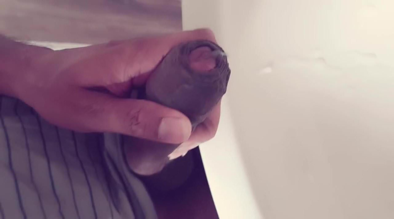 My first cum shot