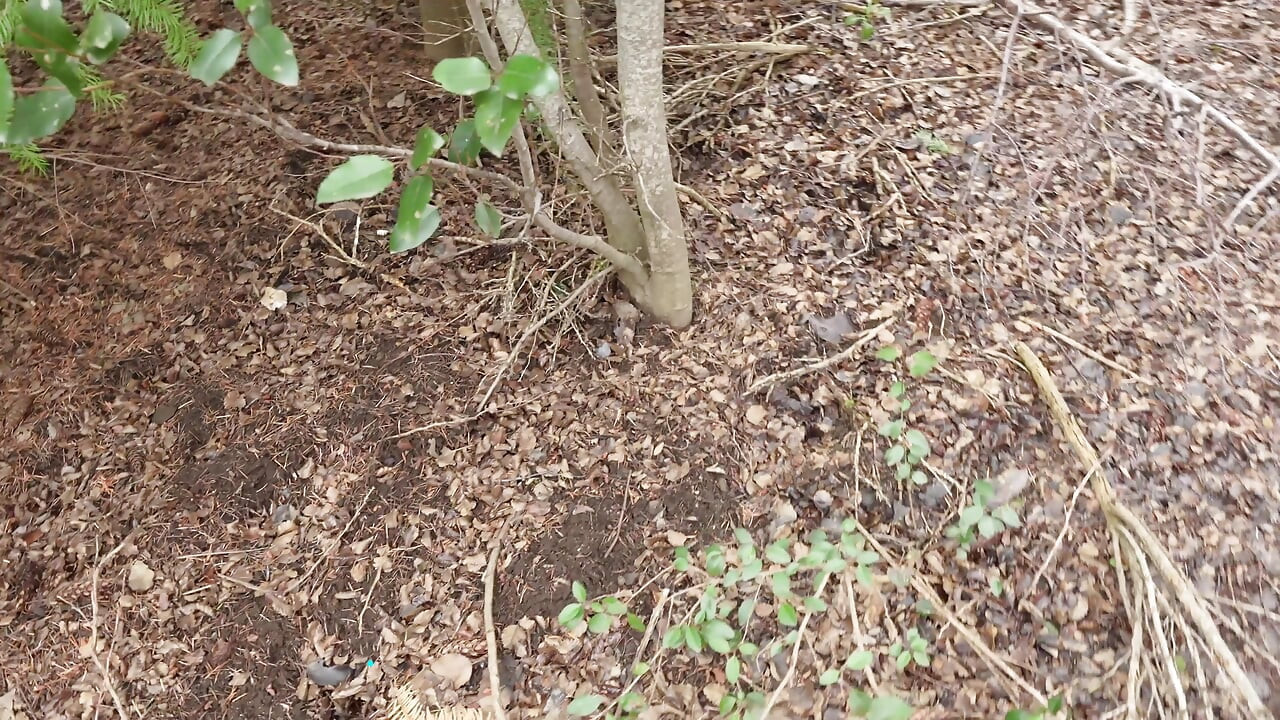 Jangal men khoee huee larki ko ek renjar milta hai jo uski tang choot chodta hai - coraljade